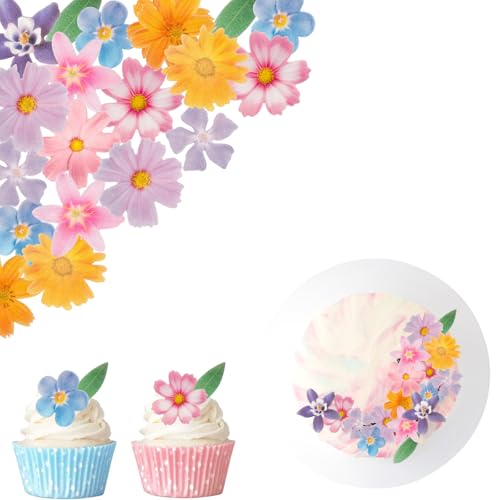 ALEGRE Essbare Blume Blätter Tortendeko, 60 Stück Tortendeko Blume Essbar, 2D Esspapier Blüten Cupcake Deko, Bunt Blume Kuchen Deko Essbar, Blüten Muffin Topper für Geburtstag, Hochzeit, Hawaii von ALEGRE