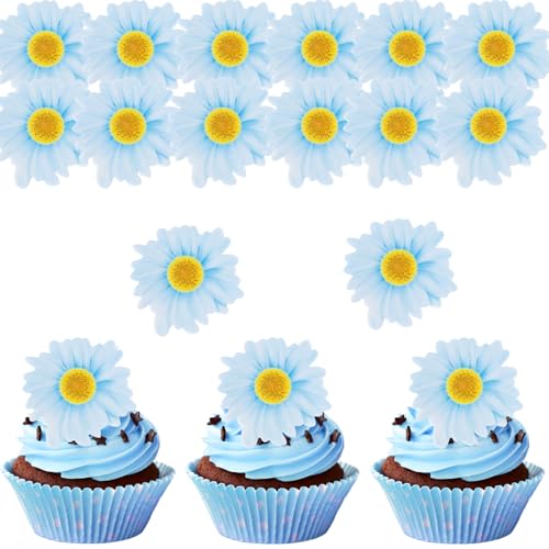 ALEGRE Essbare Gänseblümchen Tortendeko Blumen,48 Stück Essbare Blumen für Torte Taufe,Esspapier Kuchendeko Blumen,Essbare Blüten Torten Deko,Blau Gänseblümchen Cupcake Deko Essbar,Blumen Cake Topper ALEGRE Essbare Gänseblümchen Tortendeko Blumen,48 Stück Essbare Blumen für Torte Taufe,Esspapier Kuchendeko Blumen,Essbare Blüten Torten Deko,Blau Gänseblümchen Cupcake Deko Essbar,Blumen Cake Topper von ALEGRE