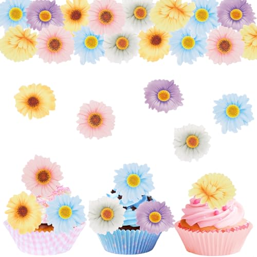 ALEGRE Gänseblümchen Tortendeko Blumen Essbar,48 Stück Essbare Blumen für Torte,Bunt Blumen Kuchen Deko Essbar,Essbare Blüten Tortendeko,Gänseblümchen Cupcake Deko Essbar,Blumen Torte Deko Hochzeit von ALEGRE