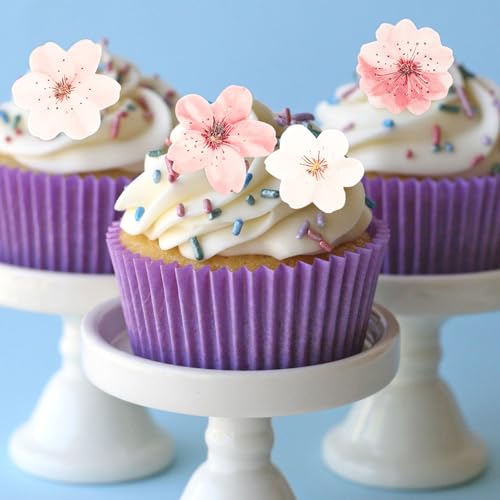 ALEGRE Kirschblüten Cupcake Topper, 48 Stück, 3,8 cm, Rosa und Weiß, für Torten ALEGRE Kirschblüten Cupcake Topper, 48 Stück, 3,8 cm, Rosa und Weiß, für Torten von ALEGRE