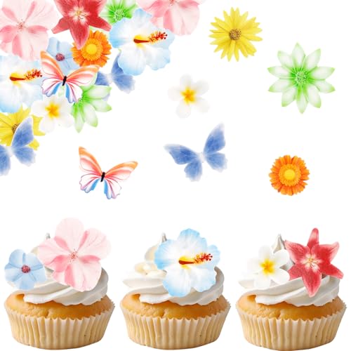 ALEGRE Schmetterlinge Blumen Tortendeko Essbare Blumen für Torte,60 Stück Plumeria Cupcake Topper Schmetterlinge Esspapier Blüten Muffin Deko,Essbare Blüten Tortendeko Hibiskus Kuchendeko Hawaii ALEGRE Schmetterlinge Blumen Tortendeko Essbare Blumen für Torte,60 Stück Plumeria Cupcake Topper Schmetterlinge Esspapier Blüten Muffin Deko,Essbare Blüten Tortendeko Hibiskus Kuchendeko Hawaii von ALEGRE