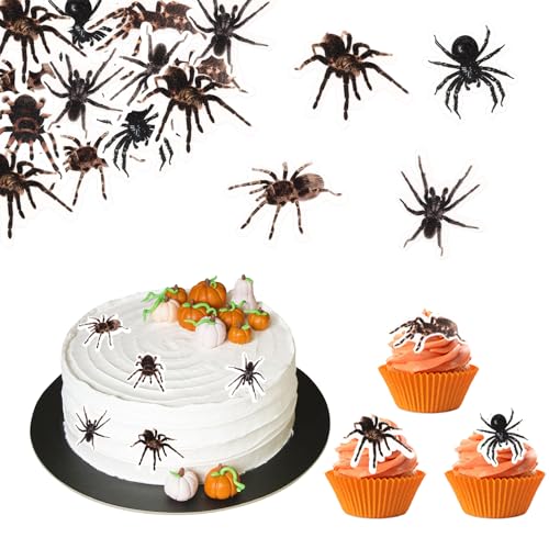 ALEGRE Essbare Spinne Kuchen Deko Halloween Geburtstag Deko, 48 Stück Esspapier Tortendeko Halloween, Spinne Cupcake Topper Essbar, Kuchendeko Halloweenparty Horror Party Kindergeburtstag ALEGRE Essbare Spinne Kuchen Deko Halloween Geburtstag Deko, 48 Stück Esspapier Tortendeko Halloween, Spinne Cupcake Topper Essbar, Kuchendeko Halloweenparty Horror Party Kindergeburtstag von ALEGRE