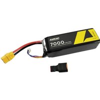 Amewi Modellbau-Akkupack (LiPo) 11.1V 7000 mAh Zellen-Zahl: 3 Hardcase XT90 von AMEWI