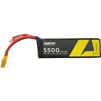 Amewi Modellbau-Akkupack (LiPo) 14.8V 5500 mAh Zellen-Zahl: 4 Softcase XT90 von AMEWI