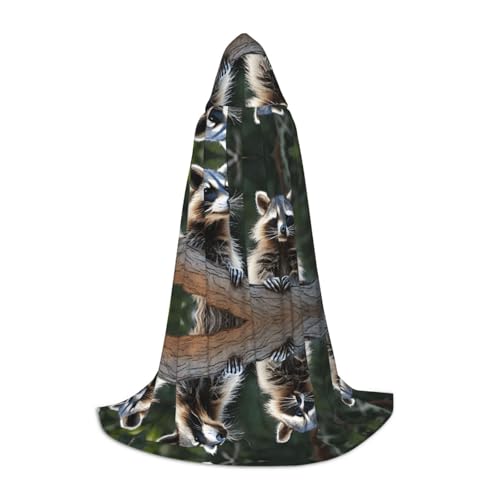 AMHMNZDXH Little Raccoon Face Print Kapuzenumhang für Teenager für Halloween, Cosplay, Party, Tanz AMHMNZDXH Little Raccoon Face Print Kapuzenumhang für Teenager für Halloween, Cosplay, Party, Tanz von AMHMNZDXH