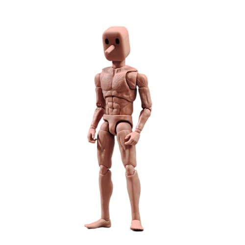 AMITD 1/12 Maßstab Männliche Aktionsfigur,6inch Super Flexible Strong Muscular Figure Körper Square Head Miniature Action Figure Doll (NT-02W Wide Shoulder Slim Körper) von AMITD