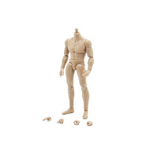 AMITD 1/12 Maßstab Male Körper,6inch Male Joint Flexible Soldier Miniature Action Figure Körper Collectible (2pcs Waist) von AMITD