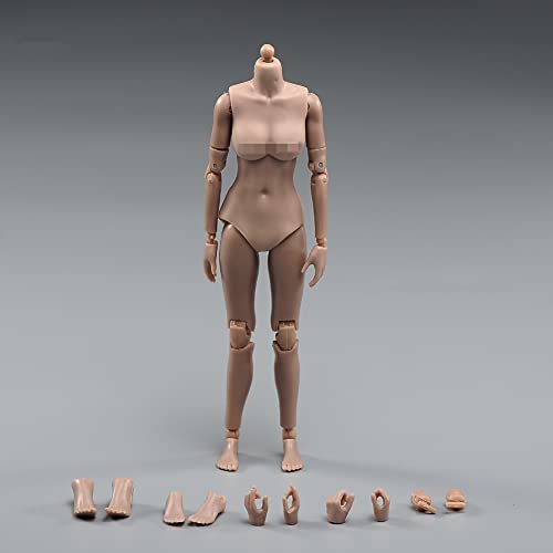 AMITD 1/12 Maßstab Weibliche Figure Körper,6inch Weibliche Joint Flexible Suntan Skin Action Figure Körper Collectible (Little Bust) von AMITD