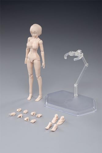 AMITD 1/12 Maßstab weiblicher Körper,6inch Weibliche Joint Flexible Action Figure Körper with Kopfskulptur&Stand Collection (Pale Skin, Huge Bust) von AMITD