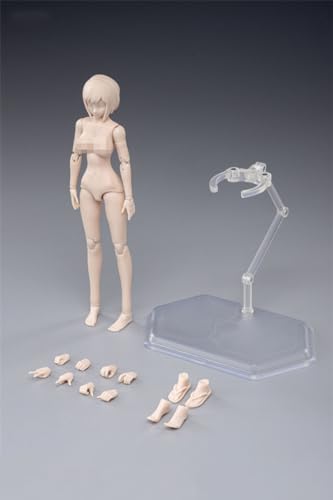 AMITD 1/12 Maßstab weiblicher Körper,6inch Weibliche Joint Flexible Action Figure Körper with Kopfskulptur&Stand Collection (Pale Skin, Mid Bust) von AMITD