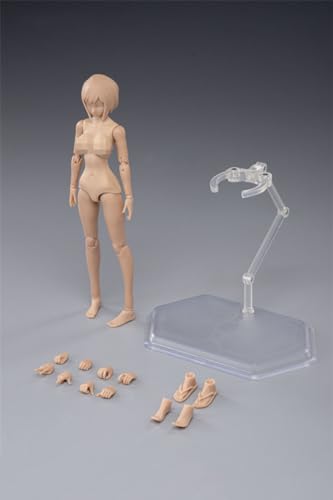 AMITD 1/12 Maßstab weiblicher Körper,6inch Weibliche Joint Flexible Action Figure Körper with Kopfskulptur&Stand Collection (Suntan Skin, Big Bust) von AMITD