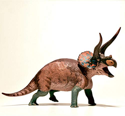 AMITD 1/35 Triceratops Figure Realistic Ceratopsidae Dinosaur PVC Collector Toys Animal Model Decoration Gift for Adult (Cryptic) von AMITD