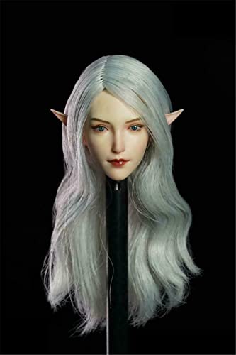 AMITD 1/6 Maßstab Beauty Elf Girl Pale Skin Planted Hair Kopfskulptur Carved for 12inch Action Figure Körper Collection (Long White Hair) von AMITD