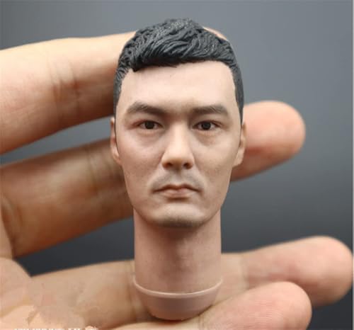 AMITD 1/6 Maßstab Male Figure Kopfskulptur,Asian Male Kopfskulptur Carved for 12inch Soldier Action Figure Körper Collection (L) von AMITD