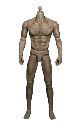 AMITD 1/6 Maßstab Male Körper, 12inches Flexible Male Wide Shoulder Action Figure Körper Doll Collection AMITD 1/6 Maßstab Male Körper, 12inches Flexible Male Wide Shoulder Action Figure Körper Doll Collection von AMITD