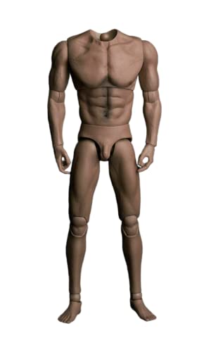 AMITD 1/6 Maßstab Male Körper, 12inches Flexible Male Wide Shoulder Muscle Action Figure Nude Körper Doll Collection von AMITD