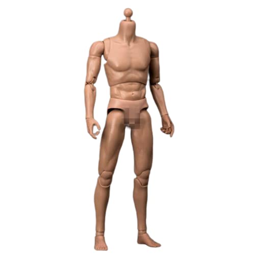 AMITD 1/6 Maßstab Male Körper, 12inches Male Durable Narrow Shoulder Action Figure Körper Doll Collection von AMITD