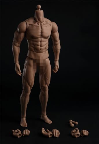 AMITD 1/6 Maßstab Male Körper, 12inches Male Flexible Nude Action Figure Körper Doll Collection (L) von AMITD