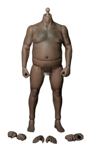 AMITD 1/6 Maßstab Male Körper, 12inches Male Plump Körper Type Flexible Action Figure Doll Collection AMITD 1/6 Maßstab Male Körper, 12inches Male Plump Körper Type Flexible Action Figure Doll Collection von AMITD