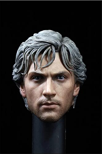 AMITD 1/6 Maßstab Male Kopfskulptur,European Strong Man Head Carved Carving for 12inch Action Figure Körper Collectible (C) von AMITD