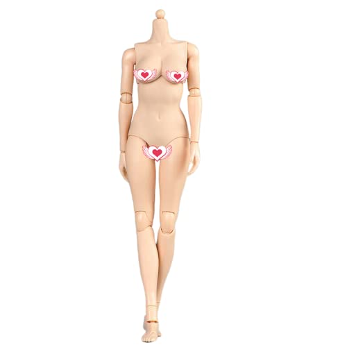 AMITD 1/6 Maßstab Weibliche Figure Körper, Weibliche Pale Skin Mid Bust Half-Seamless Flexible Action Figure Körper Doll Collection AMITD 1/6 Maßstab Weibliche Figure Körper, Weibliche Pale Skin Mid Bust Half-Seamless Flexible Action Figure Körper Doll Collection von AMITD