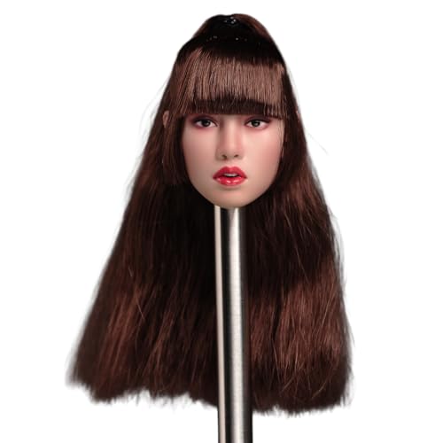 AMITD 1/6 Maßstab Weibliche Kopfskulptur, Beauty Asian Girl High Ponytail Hair Style Head Carved for 12inch FeMännliche Aktionsfigur Körper AMITD 1/6 Maßstab Weibliche Kopfskulptur, Beauty Asian Girl High Ponytail Hair Style Head Carved for 12inch FeMännliche Aktionsfigur Körper von AMITD