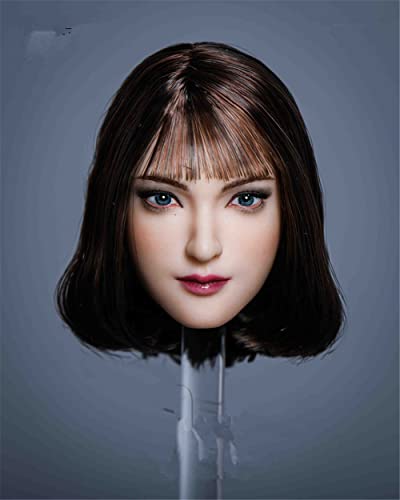 AMITD 1/6 Maßstab Weibliche Kopfskulptur,Asian Girl Planted Hair Head Carving for 12inches PH TBL JO Seamless Action Figure Körper Collection (A) von AMITD