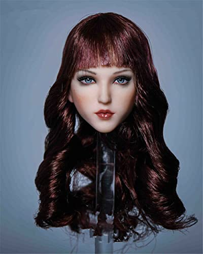 AMITD 1/6 Maßstab Weibliche Kopfskulptur,Asian Girl Planted Hair Head Carving for 12inches PH TBL JO Seamless Action Figure Körper Collection (G) von AMITD