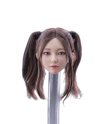 AMITD 1/6 Maßstab Weibliche Kopfskulptur,Beauty Girl Mandy Planted Hair Head Carving for 12inch Weibliche PH TBL JO Action Figure Körper (Brown Pigtails) von AMITD