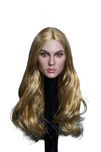 AMITD 1/6 Maßstab Weibliche Kopfskulptur,Beauty Russian Girl Suntan Skin Planted Hair Head Carved for 12inch Weibliche Soldier Action Figure Körper Collection (Blonde Hair) von AMITD