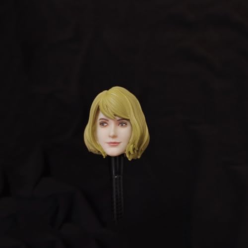 AMITD 1/6 Maßstab Weibliche Kopfskulptur,Weibliche Agent Plastic Hair Head Carved for 12inch PH TBL JO Soldier Action Figure Collection (Q) von AMITD