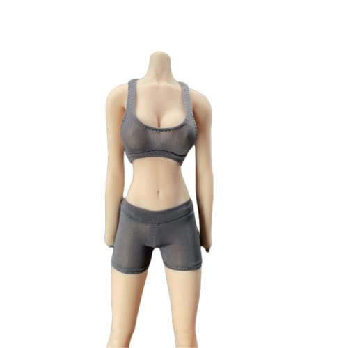 AMITD 1/6 Maßstab Weibliche Stretch Sports Tank Top Shorts Clothes for 12inch PH TBL JO Action Figure Körper (C) von AMITD