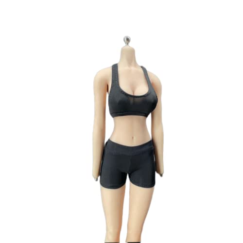 AMITD 1/6 Maßstab Weibliche Stretch Sports Tank Top Shorts Clothes for 12inch PH TBL JO Action Figure Körper (E) von AMITD