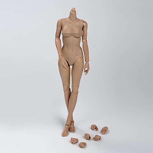 AMITD 1/6 Maßstab weiblicher Körper, 12inch Suntan Skin Middle Bust Flexible Action Figure Körper Doll Collection von AMITD