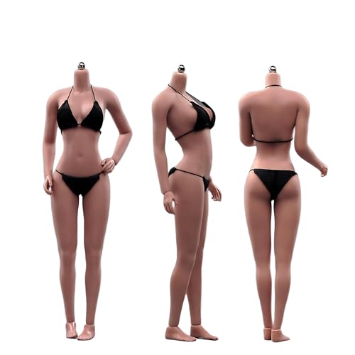AMITD 1/6 Maßstab weiblicher Körper,12inch Asian Girl Type Seamless Figure Körper Super Flexible Large Bust Miniature Action Figure Collectible (Copper Suntan Skin AB004S) von AMITD