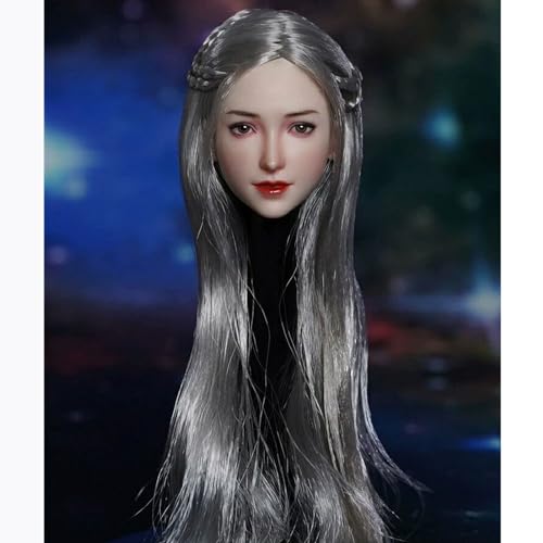 AMITD 1/6 Scale Female Head Sculpt,Anime Girl Planted Hair Head Carved for 12inch Female Phicen TBLeague Action Figure Body (Silver Hair) von AMITD