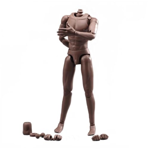 AMITD 1/6 Scale Male Doll Body for 12 inch Man Action Figure Black Skin DT001 von AMITD