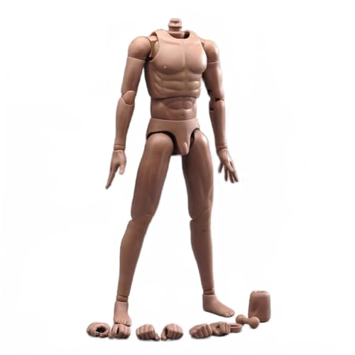AMITD 1/6 Scale Male Doll Body for 12 inch Man Action Figure Suntan Skin DT002 von AMITD