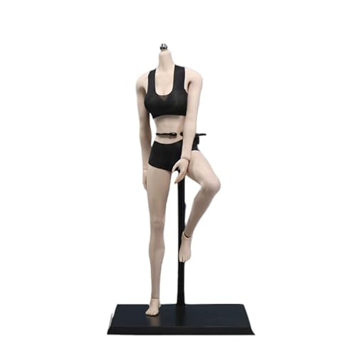 AMITD 1/6 weiblicher Körper, 12" Super Flexible Asian Type, JIAOUDOLL Seamless Narrow Shoulders, Big Bust, Detachable Feet (New Pale Skin, JOQ-10D) von AMITD