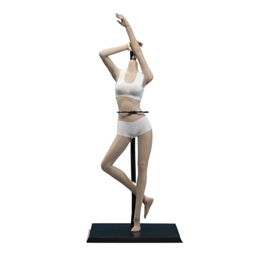 AMITD 1/6 weiblicher Körper, 12" Super Flexible European Type, JIAOUDOLL Seamless Large Bust, No Head(Black Skin, JOQ-06C-Middle Bust-Undetachable Feet) von AMITD