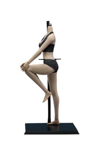 AMITD 1/6 weiblicher Körper, 12" Super Flexible European Type, JIAOUDOLL Seamless Large Bust, No Head(Black Skin, JOQ-10C-Middle Bust-Detachable Feet) von AMITD