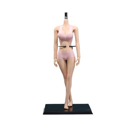 AMITD 1/6 weiblicher Körper, 12" Super Flexible European Type, JIAOUDOLL Seamless Large Bust, No Head(Normal Skin, JOQ-07F-Big Bust-Undetachable Feet) von AMITD