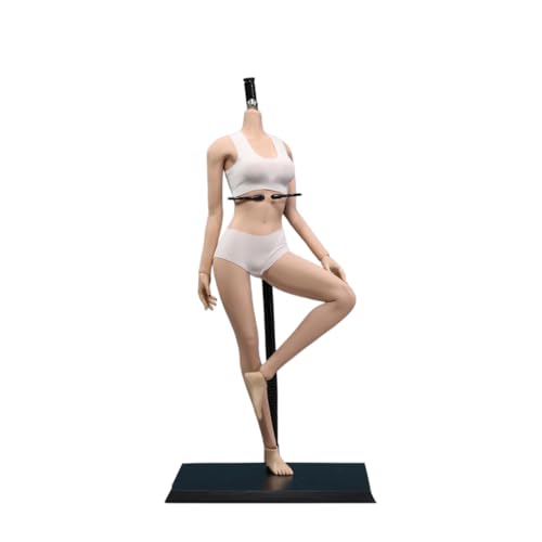 AMITD 1/6 weiblicher Körper, 12" Super Flexible European Type, JIAOUDOLL Seamless Large Bust, No Head (KT Skin, JOQ-10C-Middle Bust-Detachable Feet) von AMITD
