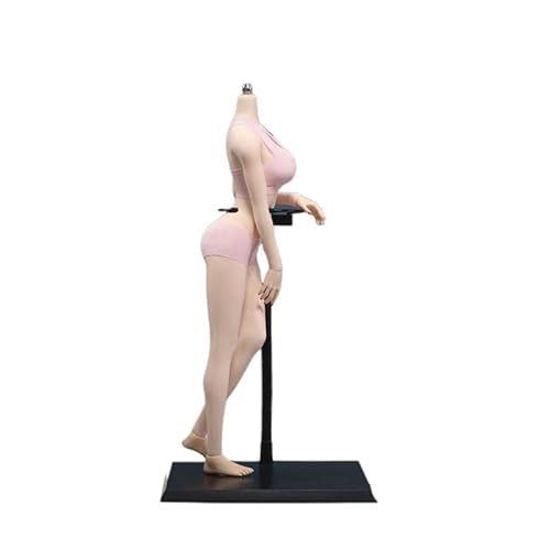 AMITD 1/6 weiblicher Körper, 12" Super Flexible European Type, JIAOUDOLL Seamless Large Bust, No Head (Pink Skin, JOQ-10D-Big Bust-Detachable Feet) von AMITD