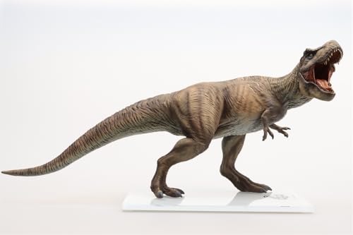 AMITD 1:30 Scale Tyrannosaurus Rex Figure AMITD 1:30 Scale Tyrannosaurus Rex Figure von AMITD