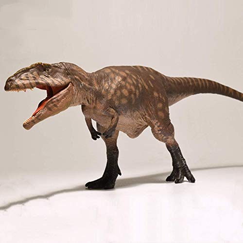 AMITD 1:35 Scale Giganotosaurus Statue Carcharodontosauridae Dinosaur Figure Realistic Cretaceous PVC Animal Model Collector Decor Gift for Adult von AMITD
