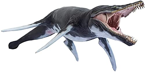 AMITD 1:35 Scale Kronosaurus Jeff Figure Realistic Plesiosaurus Pliosauridae Dinosaur PVC Collector Toys Animal Scientific Art Model Decoration Gift for Adult AMITD 1:35 Scale Kronosaurus Jeff Figure Realistic Plesiosaurus Pliosauridae Dinosaur PVC Collector Toys Animal Scientific Art Model Decoration Gift for Adult von AMITD