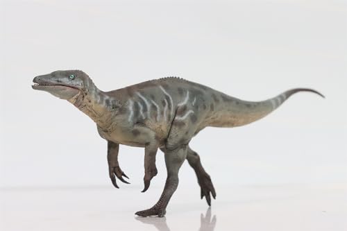 AMITD 1:35 Scale Megaraptor Model Carnivorous Dinosaurs PVC Animal Figure Collection Realistic Decoration Gift for Adult (Green) von AMITD