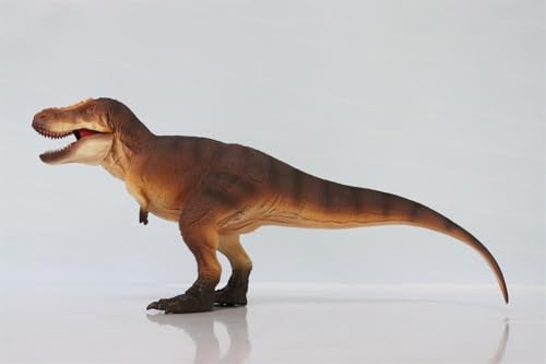 AMITD 1:35 Scale T-rex Model Tyrannosaurus Dinosaur Figure Animal Collection Decor Gift AMITD 1:35 Scale T-rex Model Tyrannosaurus Dinosaur Figure Animal Collection Decor Gift von AMITD
