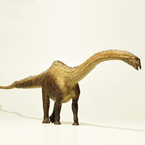 AMITD 1:40 Scale Diplodocus Figure Realistic Sauropod Diplodocidae Dinosaur PVC Animal Model AMITD 1:40 Scale Diplodocus Figure Realistic Sauropod Diplodocidae Dinosaur PVC Animal Model von AMITD